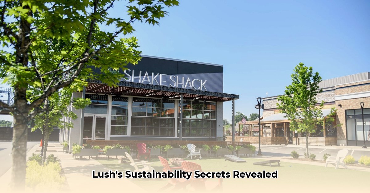 lush-cosmetics-summit-at-fritz-farm